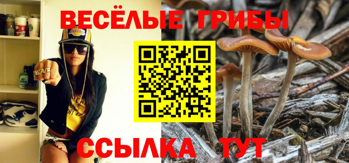 Псилоцибиновые грибы Cubensis  Псилоцибиновые грибы мицелий  Кириши  Вход с VPN 