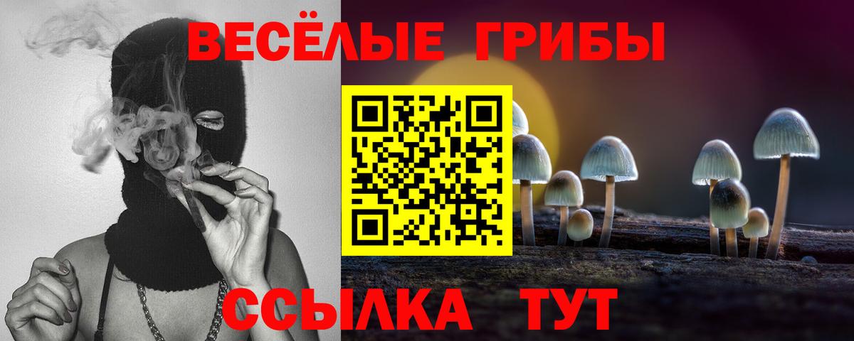Галлюциногенные грибы прущие грибы Кириши